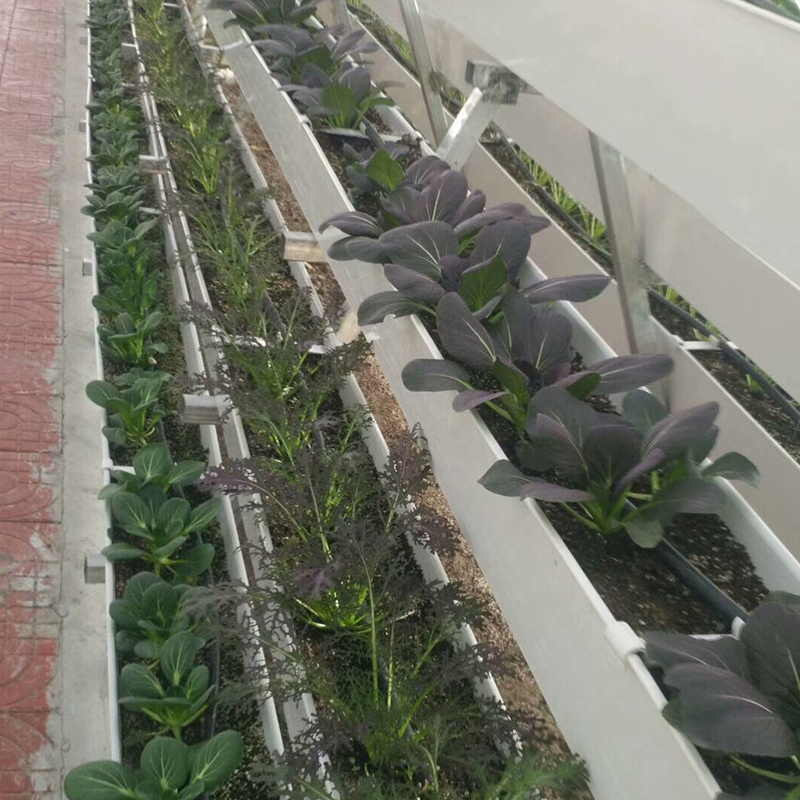 蔬菜葫芦娃官网huluwa入口种植槽