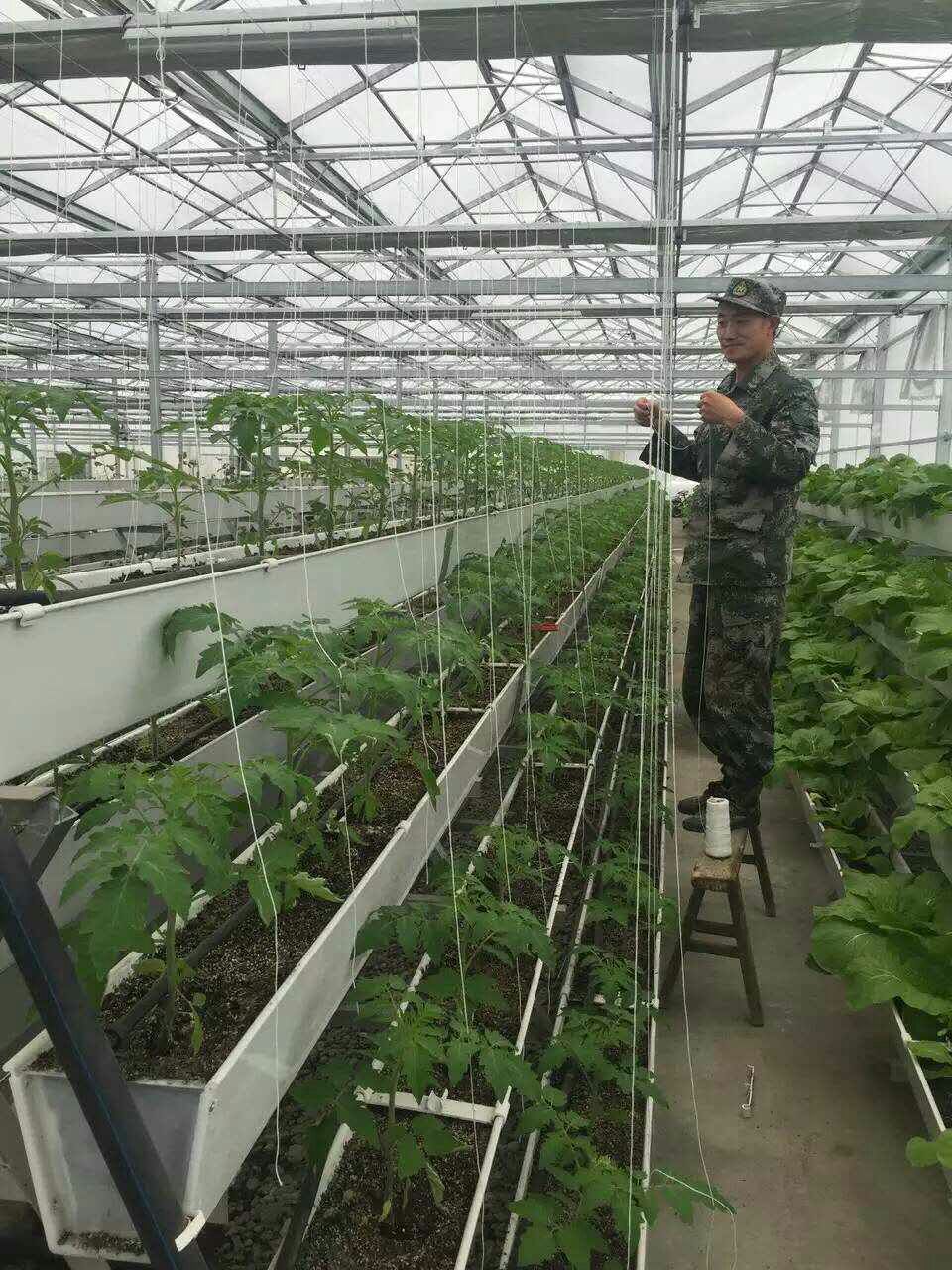 蔬菜葫芦娃官网huluwa入口种植槽